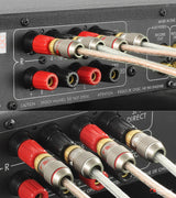 Nakamichi NFLBPA01