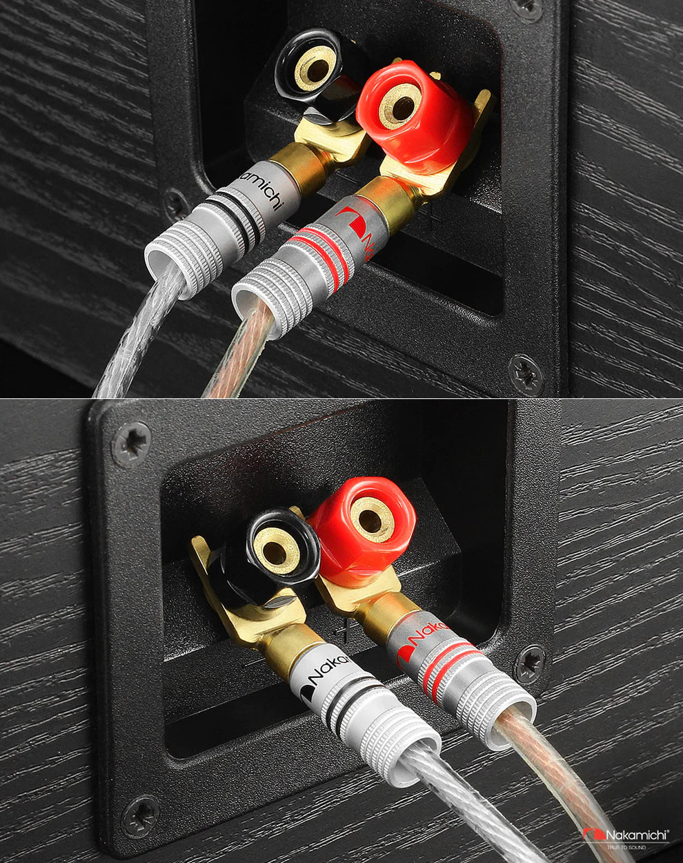 Nakamichi NSPD01